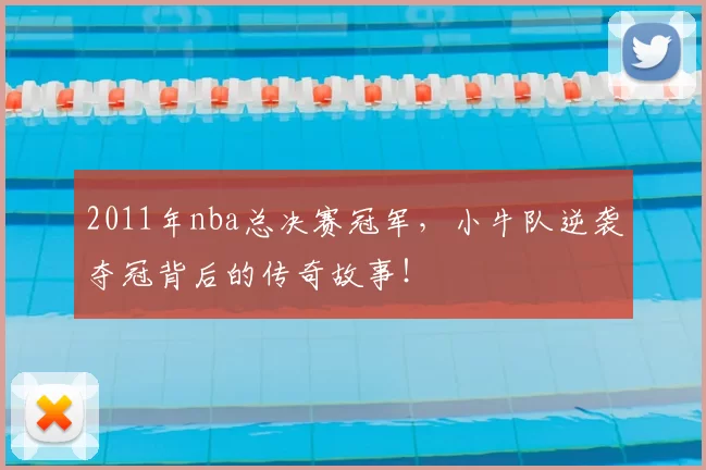 2011年nba总决赛冠军，小牛队逆袭夺冠背后的传奇故事！