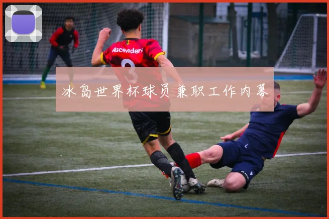 冰岛世界杯球员兼职工作内幕