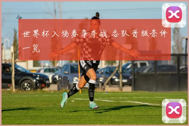 世界杯入场券争夺战 各队晋级条件一览