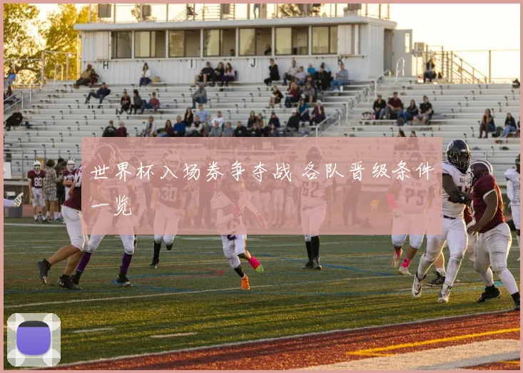 世界杯入场券争夺战 各队晋级条件一览